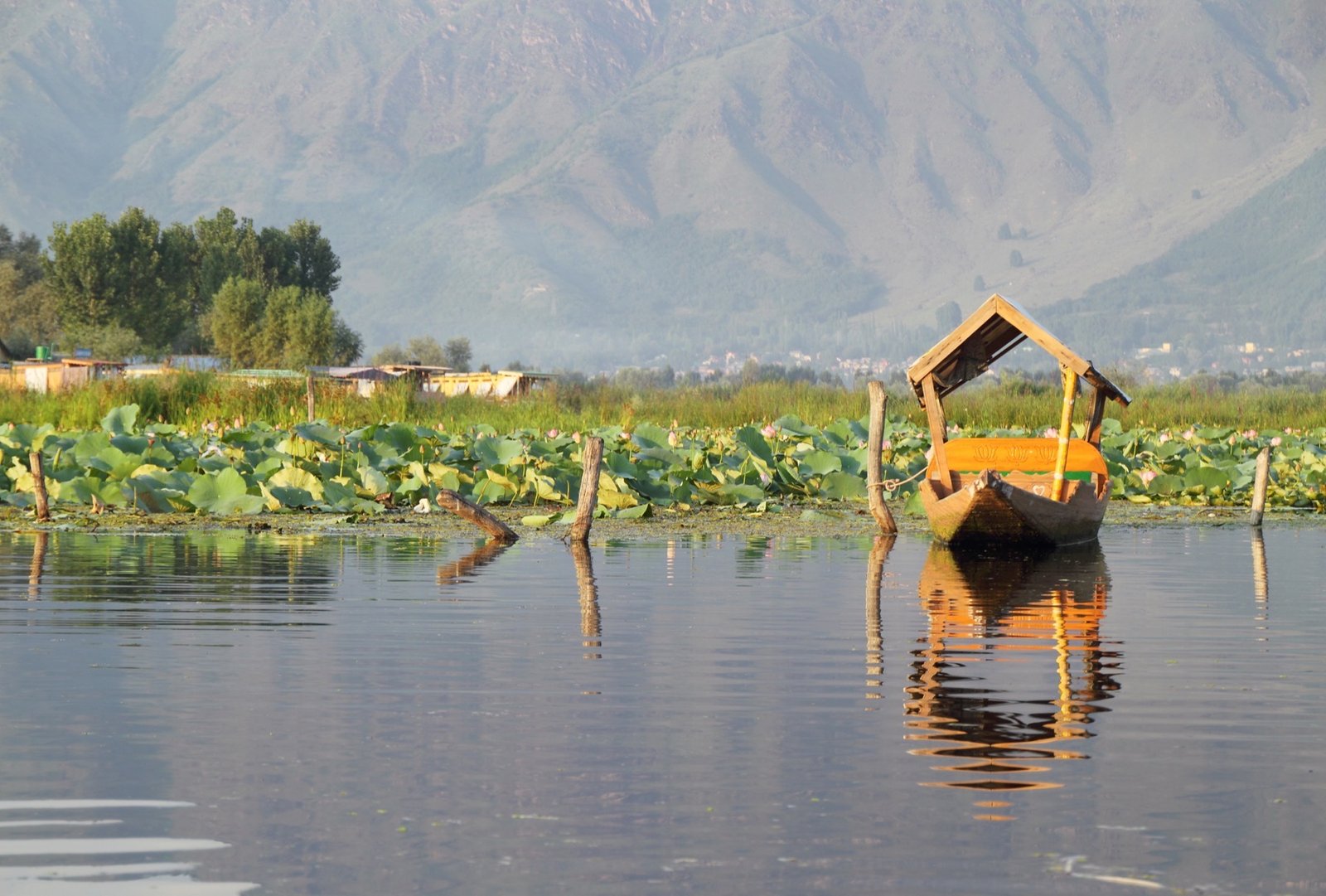 Shikara on Dal Lake with misty mountains